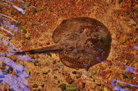 Ocean underwater water