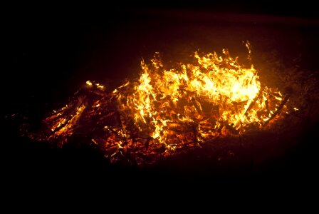 Wood heat flames