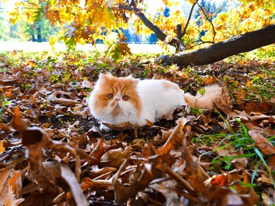 Park nature out