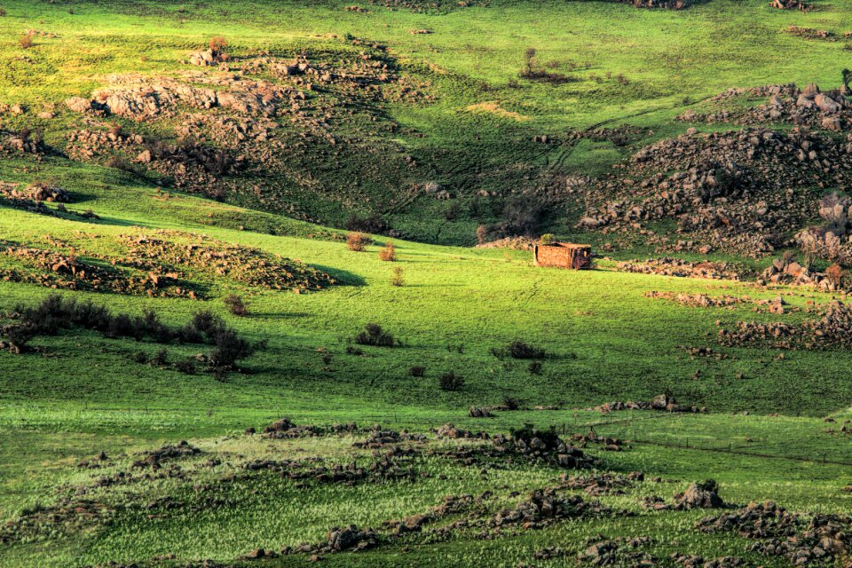 Rocky golden hour afternoon