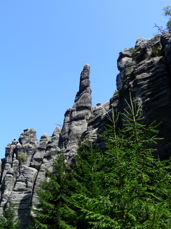 Nature teplice pick