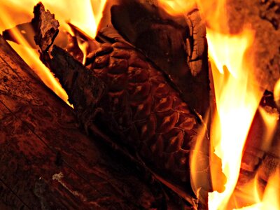 Pineapple bonfire fireplace photo
