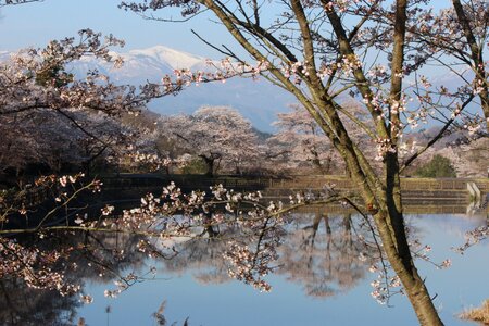 Watari azumayama fukushima