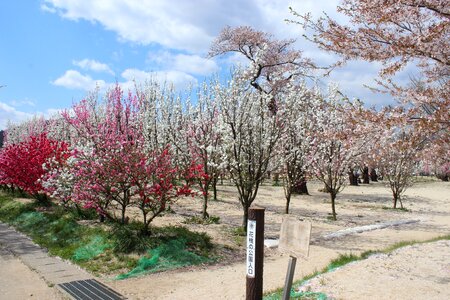 Iizaka iizaka hot spring fukushima
