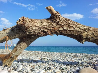 Log pebble blue photo