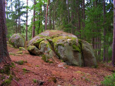 Rock stone bohemia