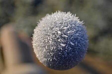 Frost ball winter
