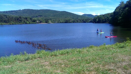 Paddle boards blue board