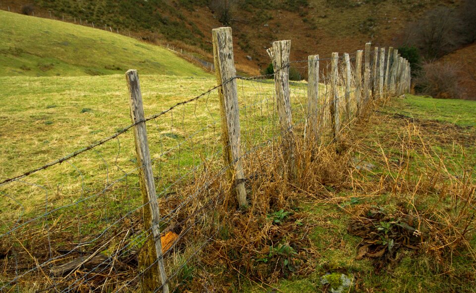 Closing barbed wire prairie