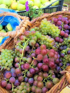 Basket green purple