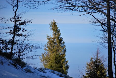 Winter winter in the mountains snow