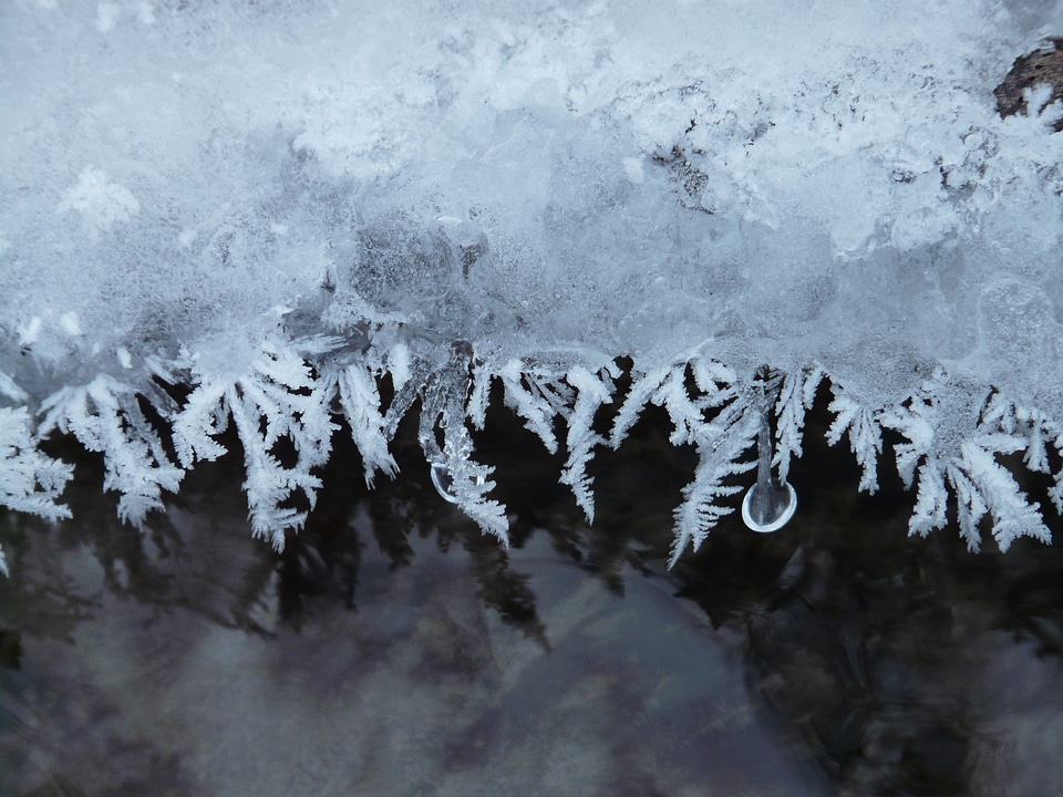Iced frozen winter