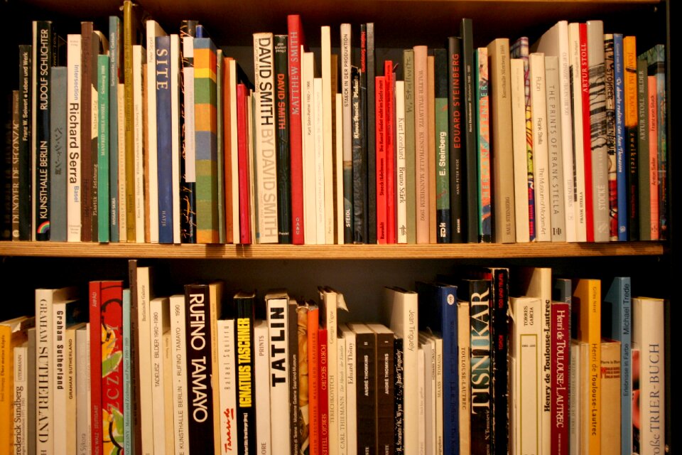 Read literature learn