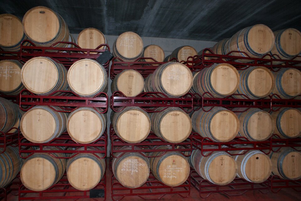 Spain wine cellar wine