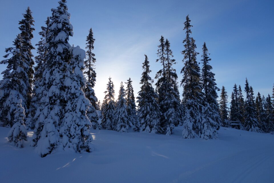 Norway lillehammer hafjell