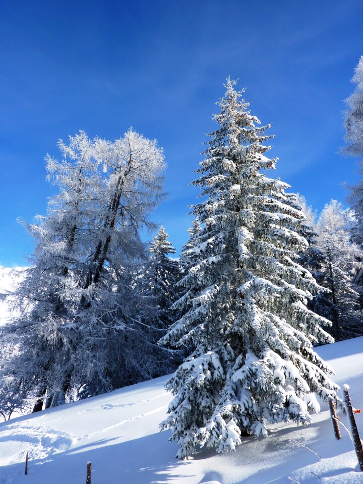 Cold landscape snowy