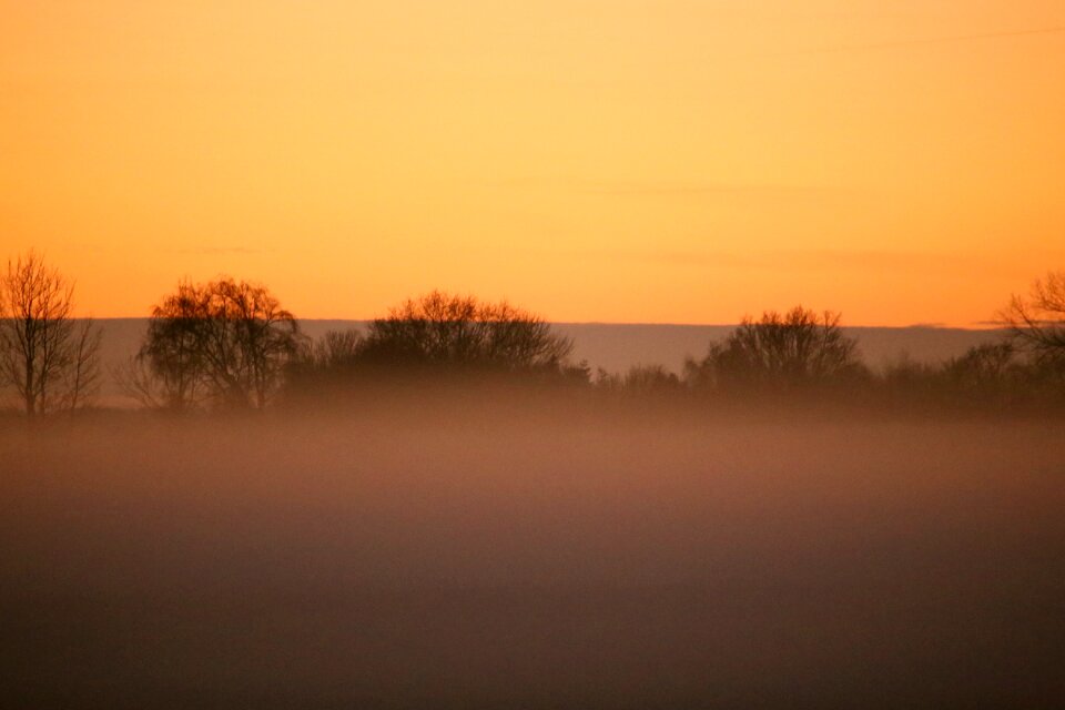 Landscapes sunset tree