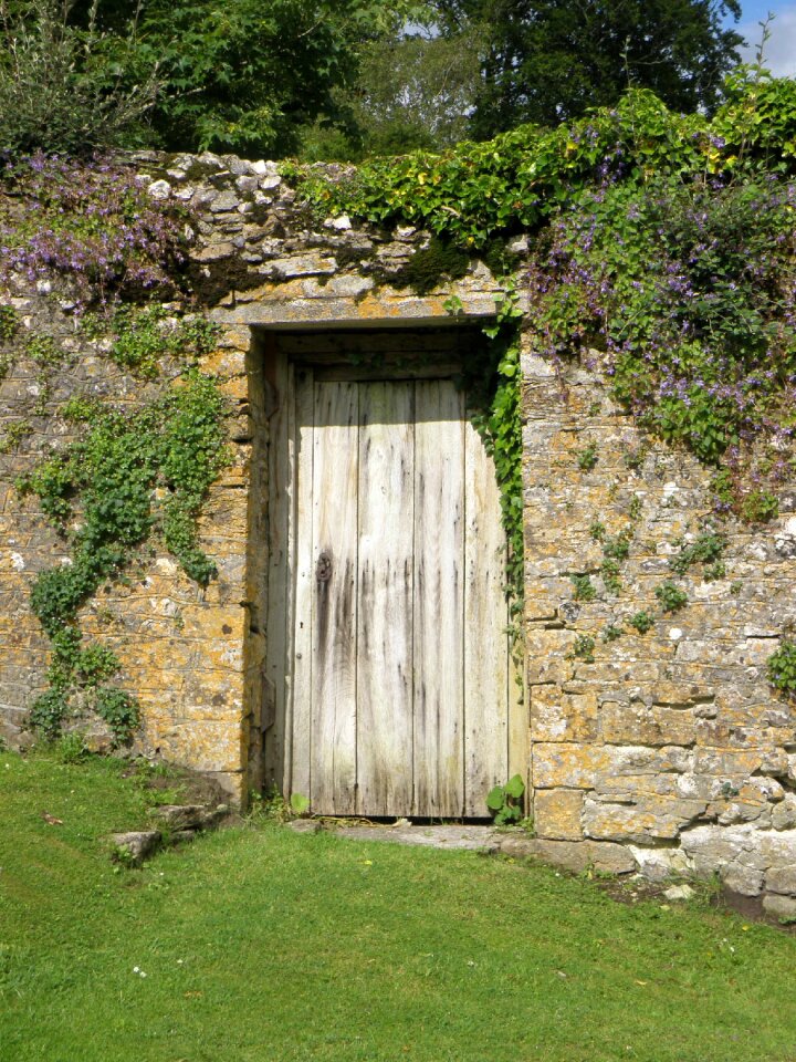 Wall stone bougainvillea