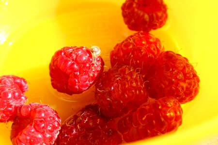 Berries vitamins eco photo