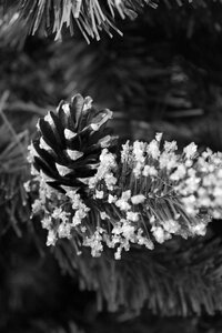 Cone christmas ornament
