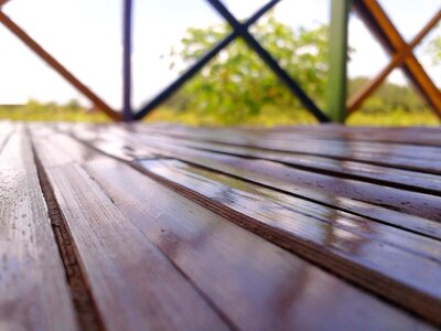 Nature fresh plank photo