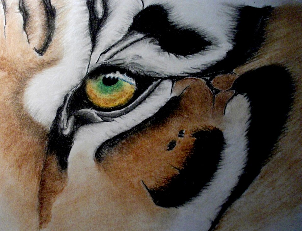 Eye artwork pastel