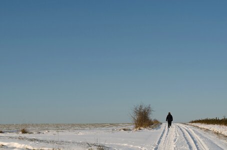 Snow snowy nature photo