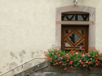 Veranda geraniums house