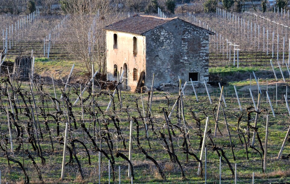 Ancient field construction