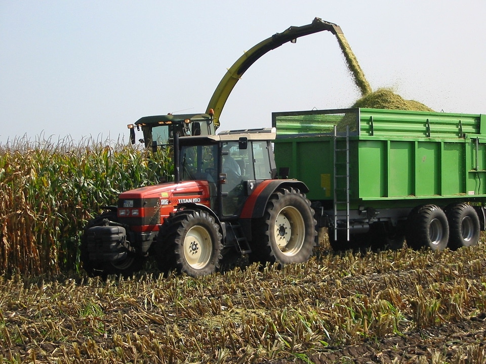 Field autumn harvest