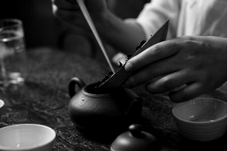 Tea cha Free photos photo