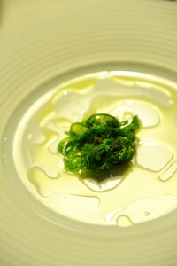 Seaweed salad green mirroring