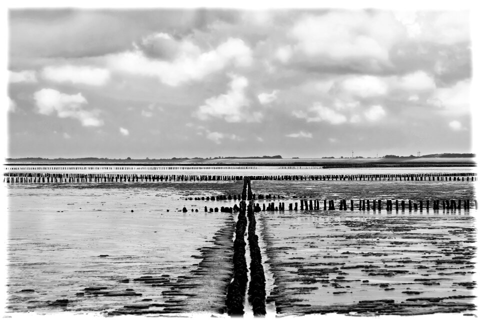 Piles north sea sea