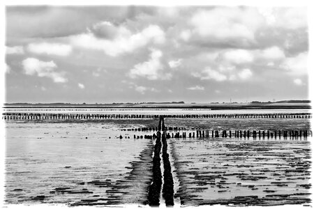 Piles north sea sea photo