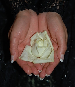 Finger wedding rings