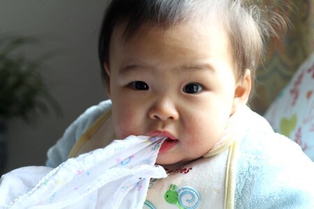 Baby portrait shanghai