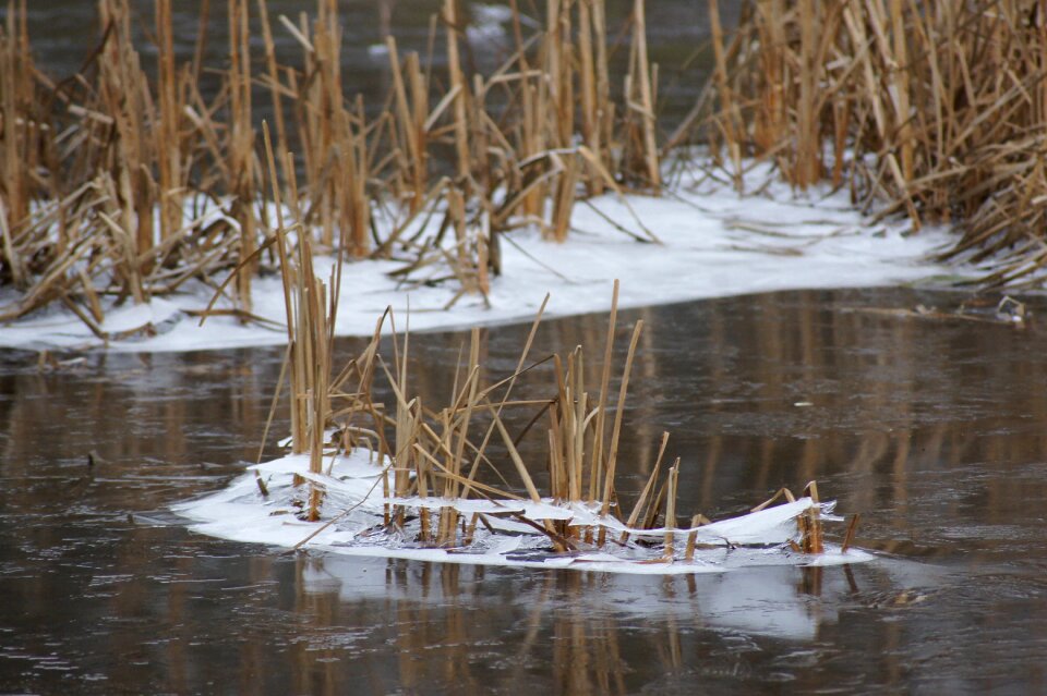 Floors frost winter