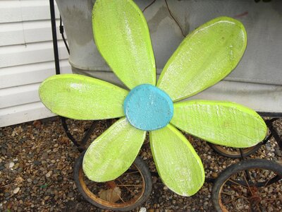 Decoration green lime