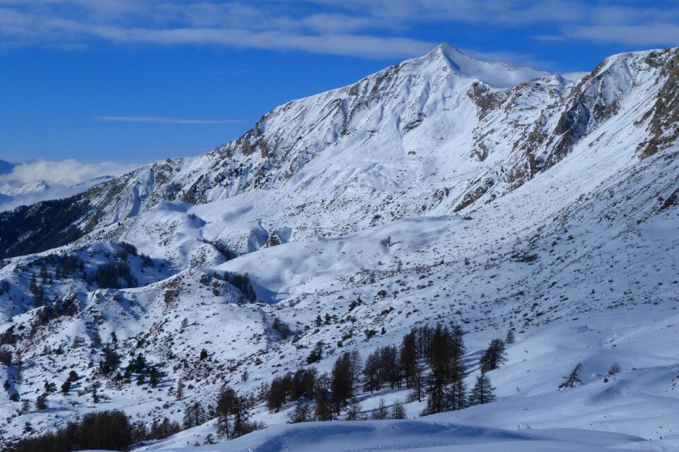 Nature winter landscape snow