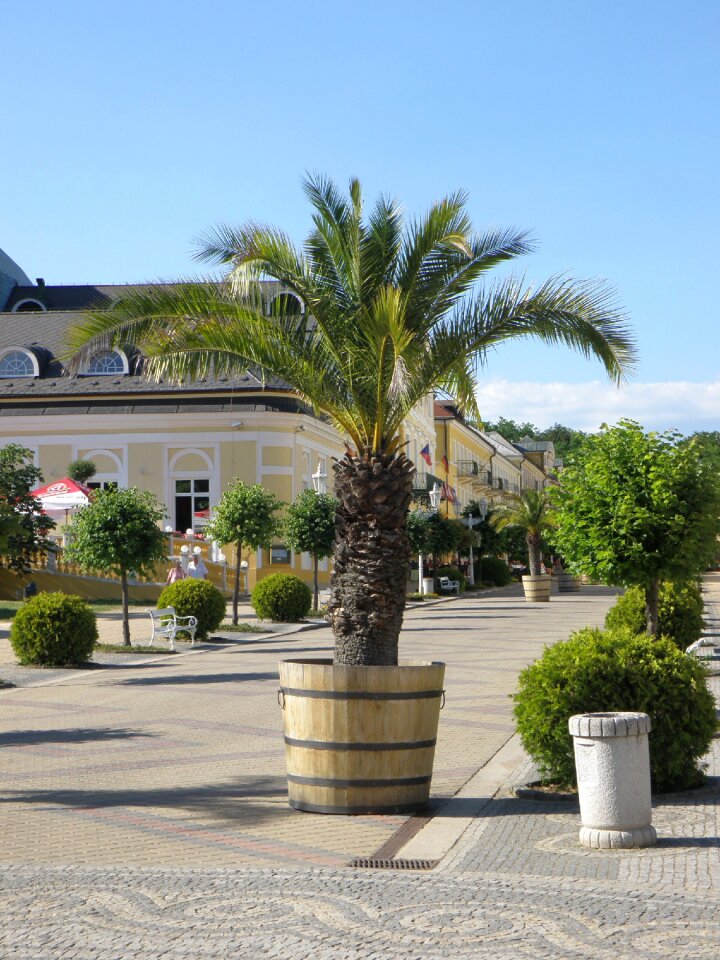 Street flowerpot promenade