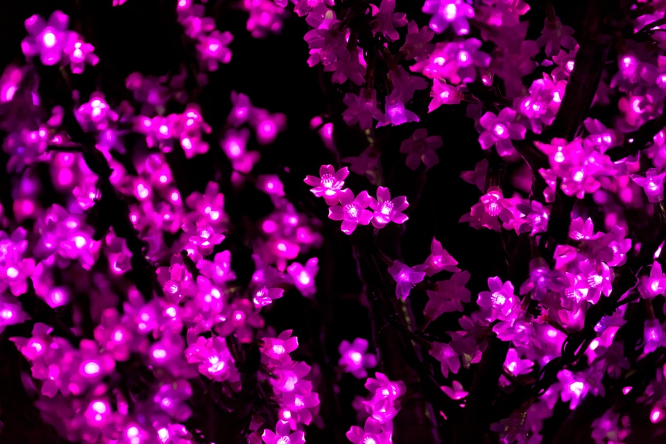 Bright celebration christmas