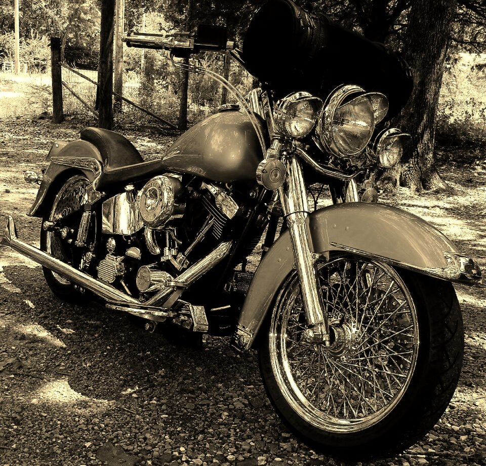Bike motorbike davidson