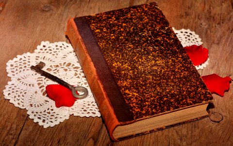 Wood old book spine