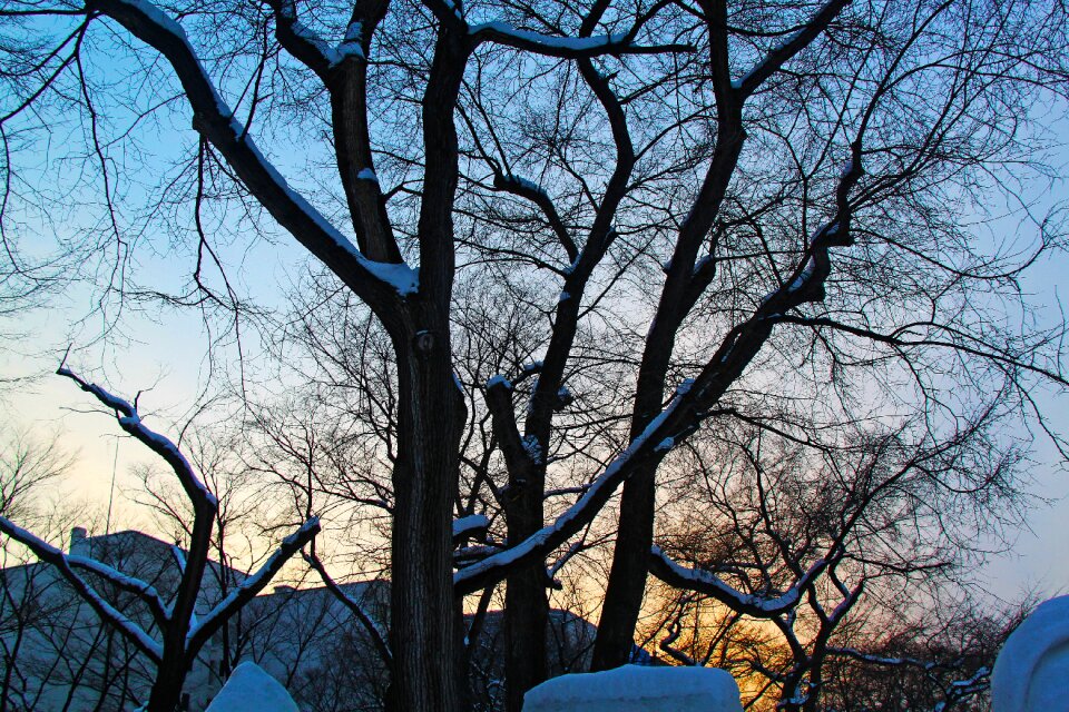 Winter evening park