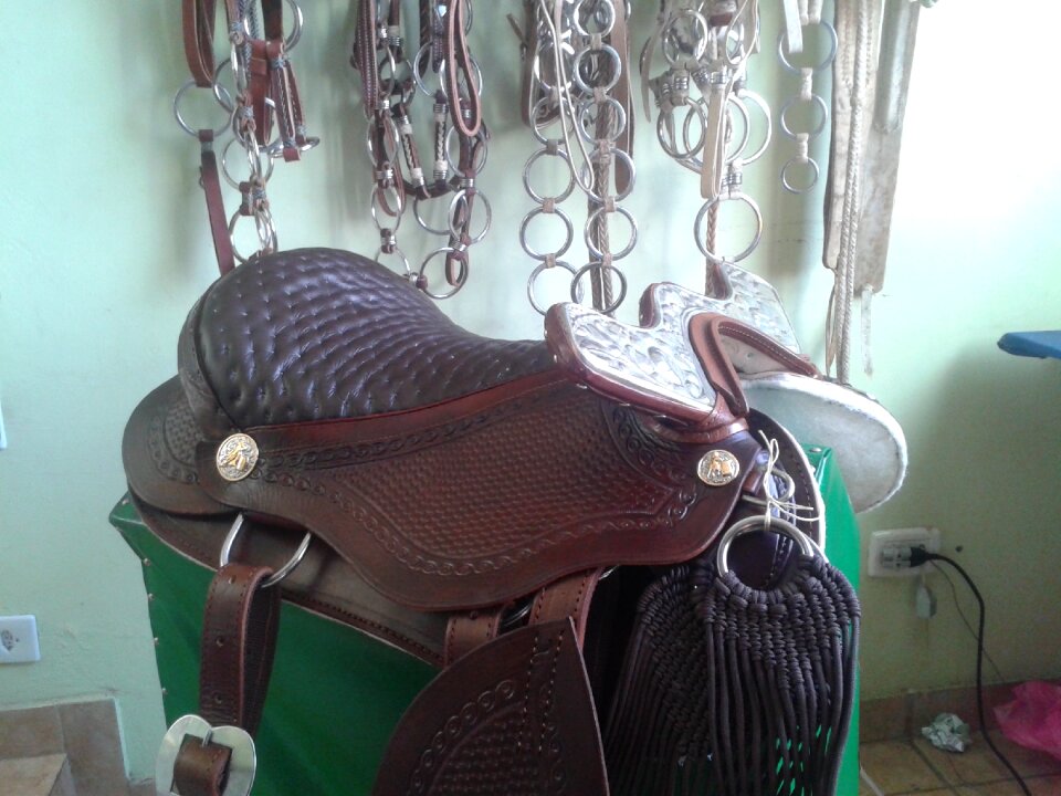 Saddlery horses ride