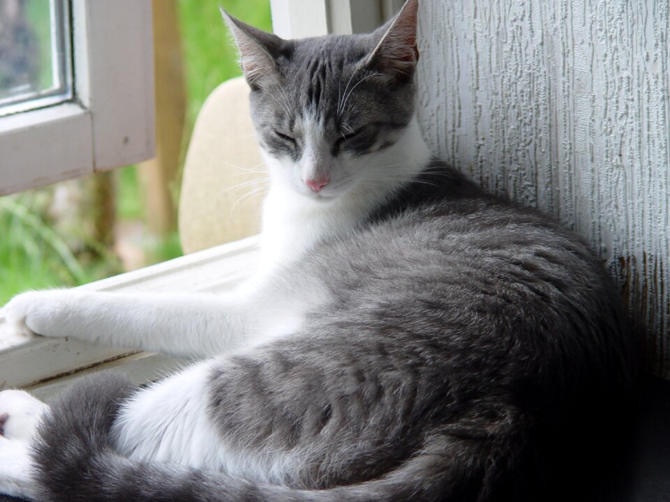 Relax doze grey