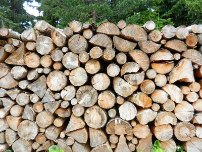 Rhodope mountains wood fireplace