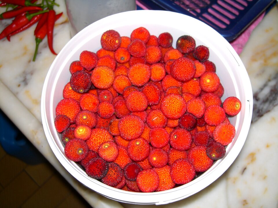 Wild strawberry it is very tasty it's delicious