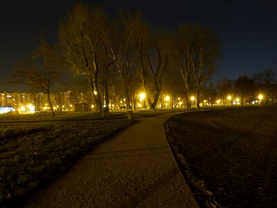 Forest urban road