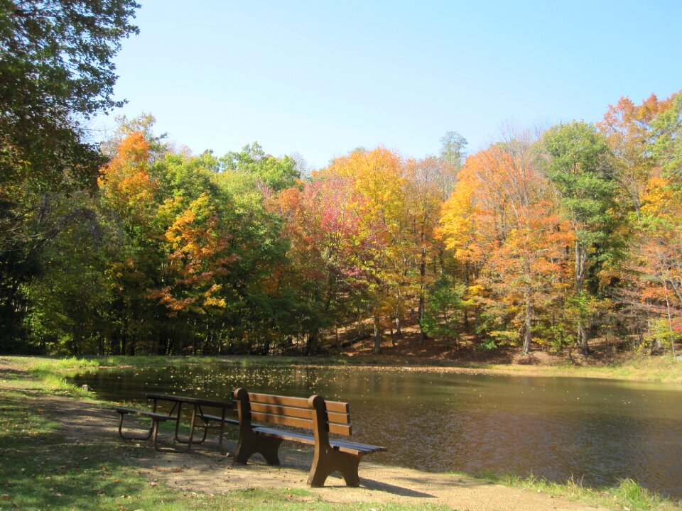 Forest nature season